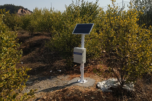 浙江衢州常山油茶大脑产业园案例展示