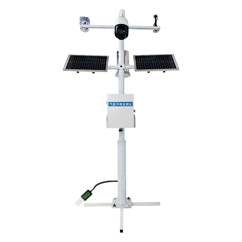 //m.tthwang.com/zhnyqxz/917.html